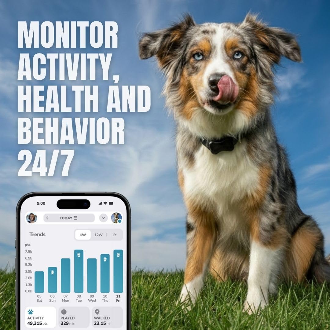 FitBark 2 Waterproof Dog Activity and Fitness Tracker