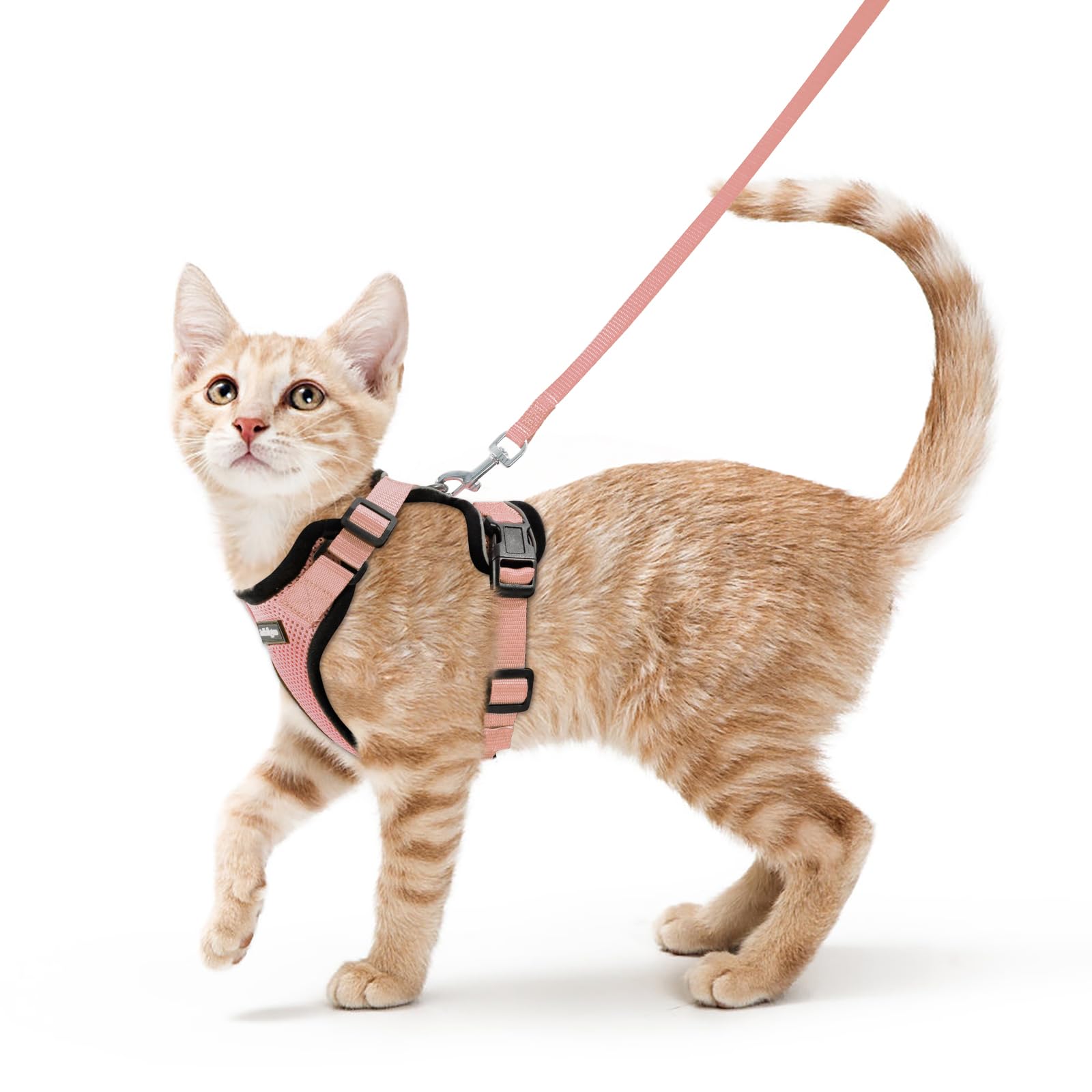 Rabbitgoo Adjustable Cat Harness and Leash Set