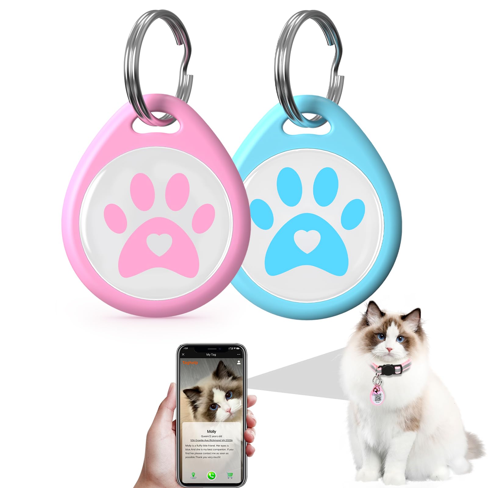 Pet ID Tags