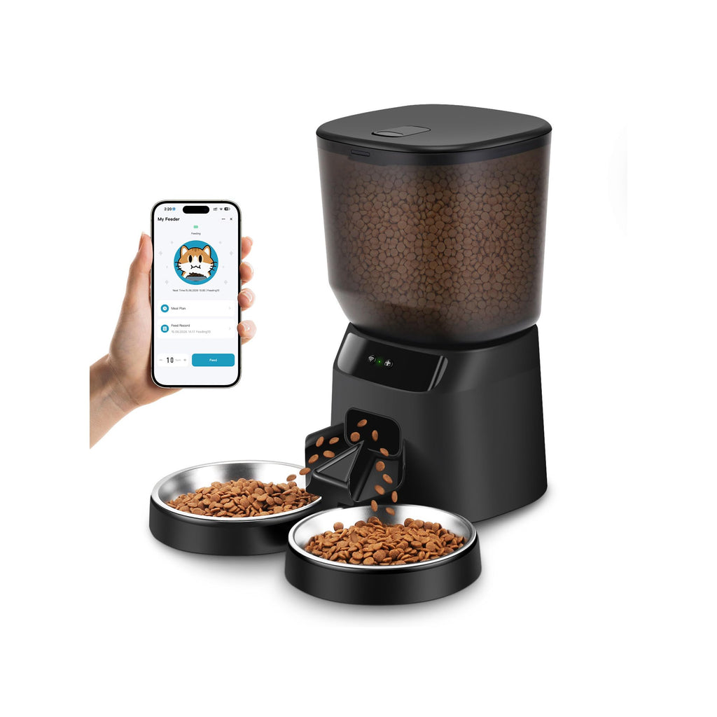 Automatic Cat Feeders for Two Cats