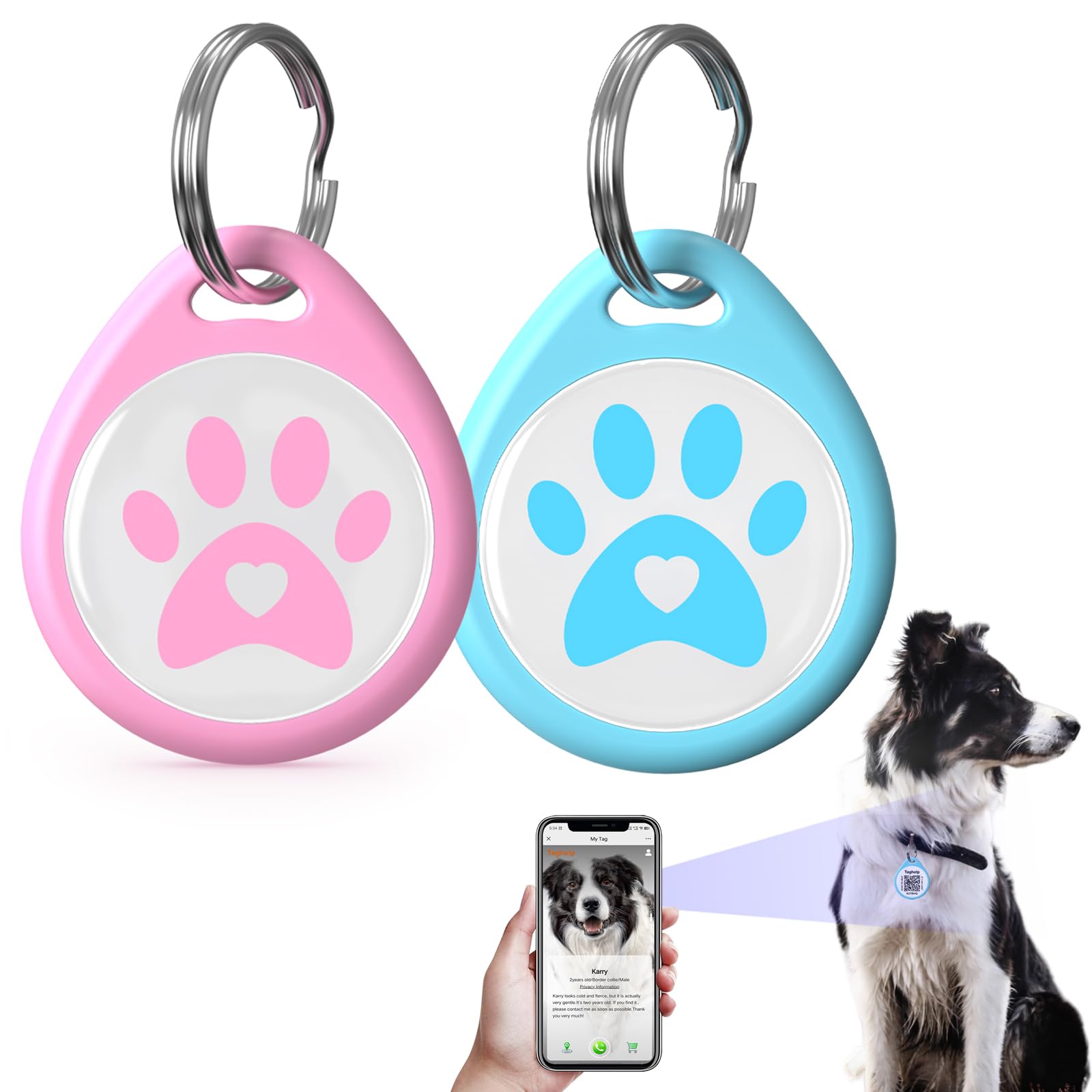 Pet ID Tags