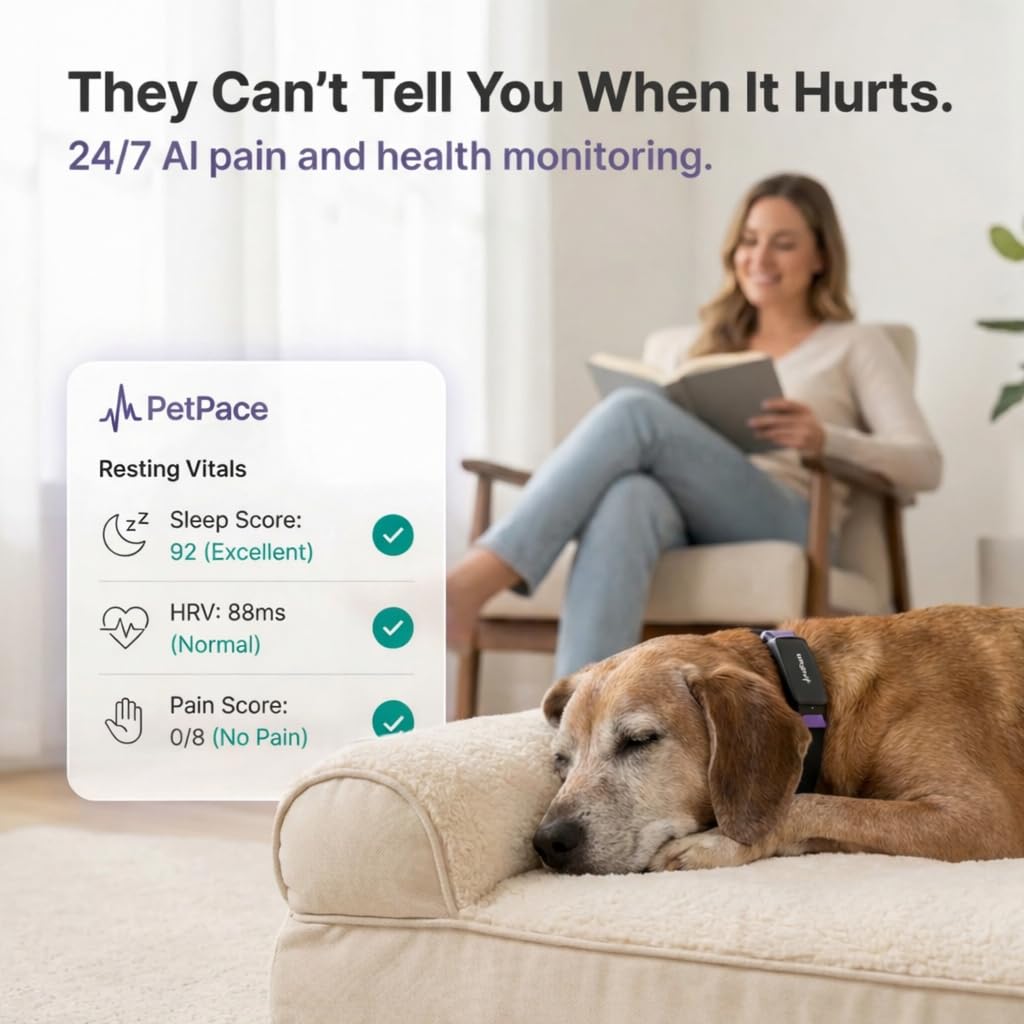 AI Smart Dog Health Collar – 24/7 Vital Signs Monitor, GPS Tracking, Heart Rate, Pain Detection, Telehealth Vet Access, Smart Watch Sync | PetPace V3.0 - Subscription Required