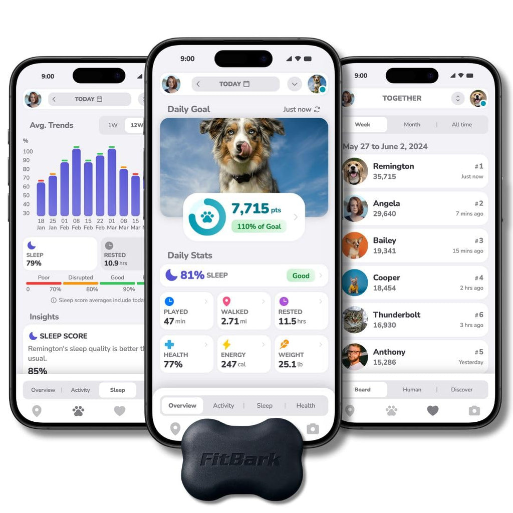 FitBark 2 Waterproof Dog Activity and Fitness Tracker