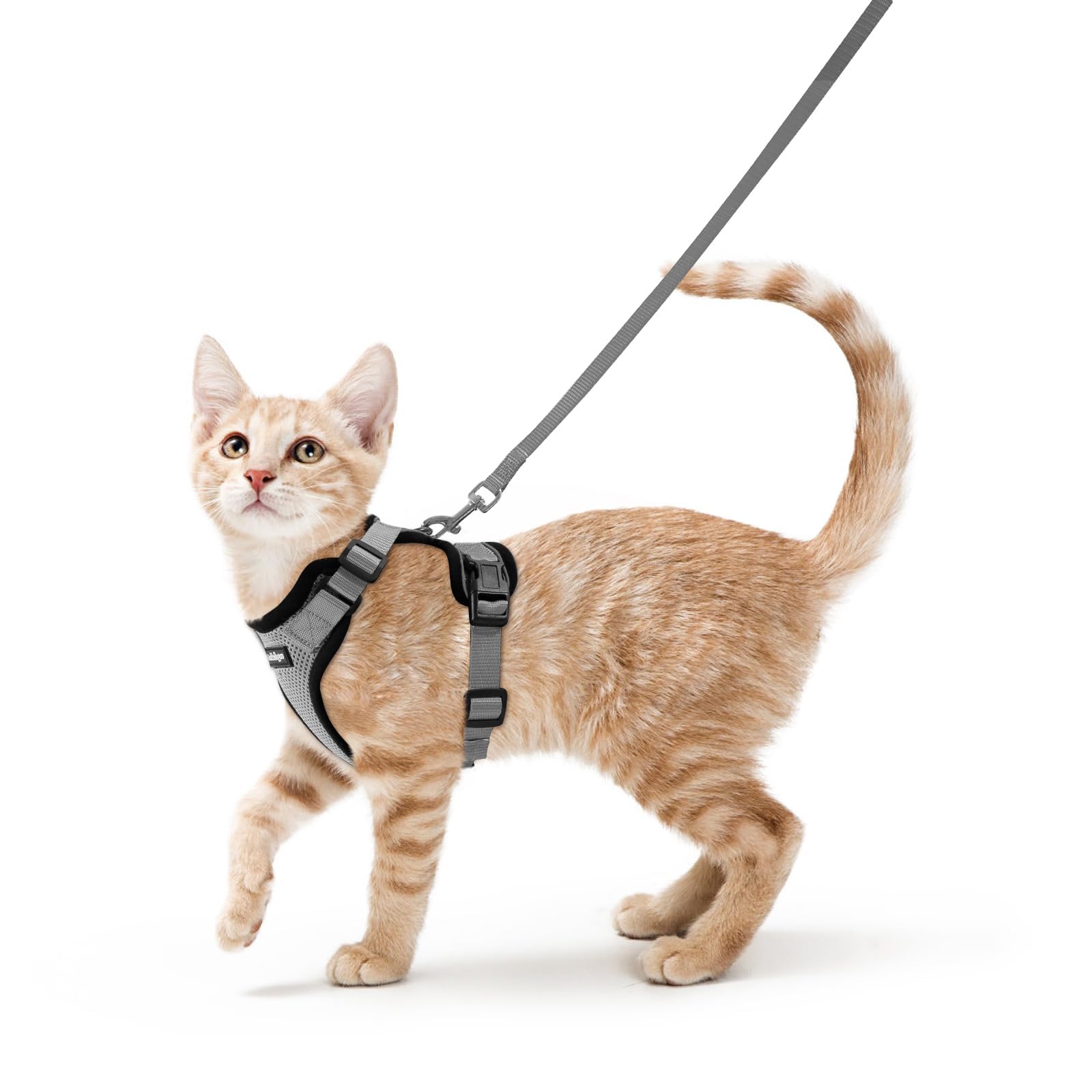 Rabbitgoo Adjustable Cat Harness and Leash Set