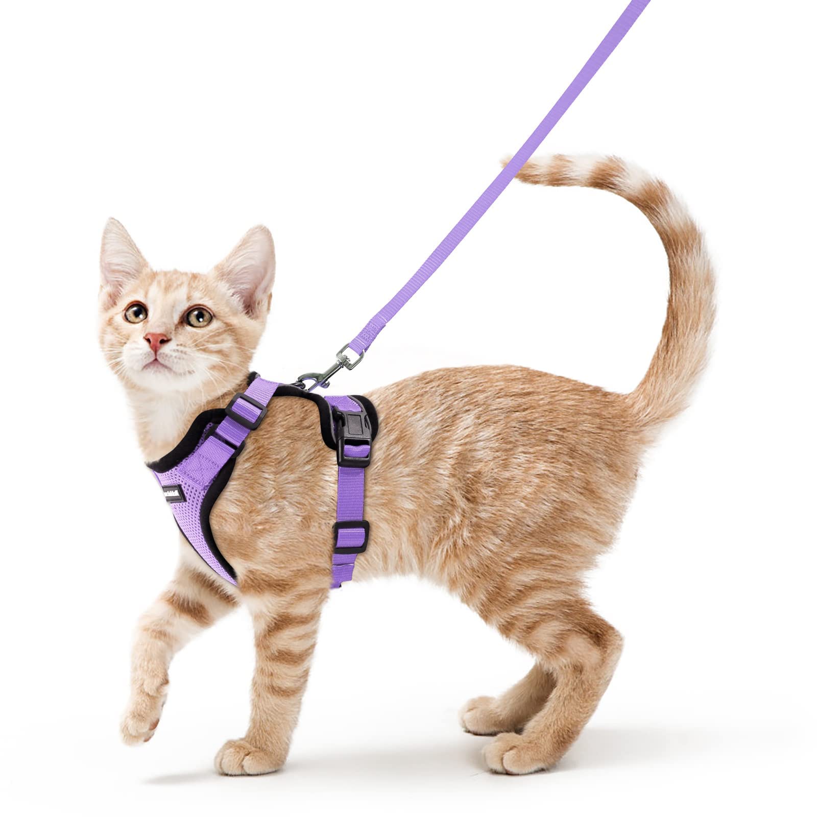 Rabbitgoo Adjustable Cat Harness and Leash Set