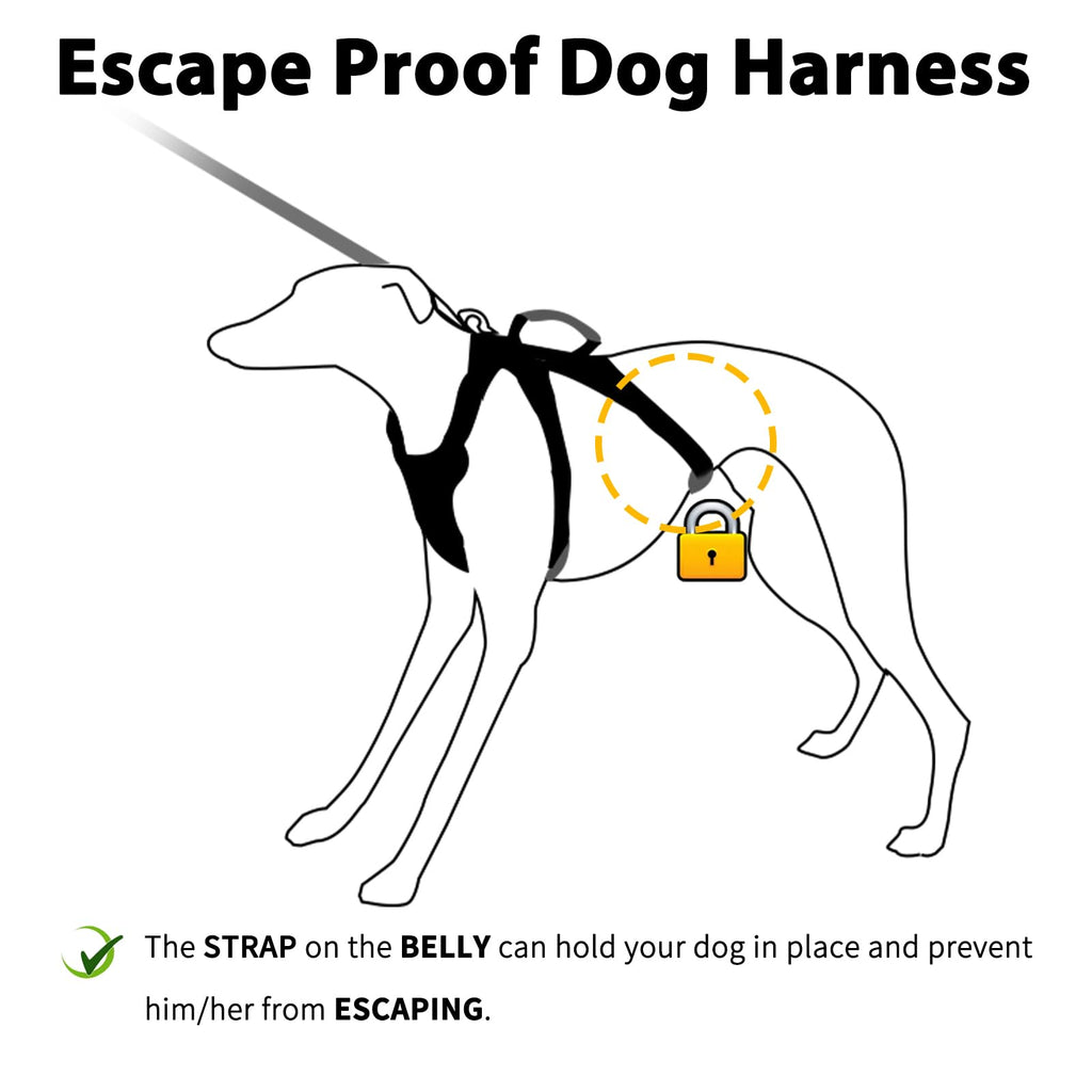 Huntboo Escape-Proof Reflective Dog Harness with Handle