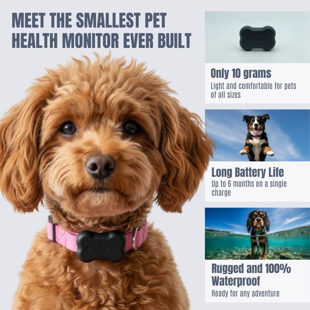 FitBark 2 Waterproof Dog Activity and Fitness Tracker