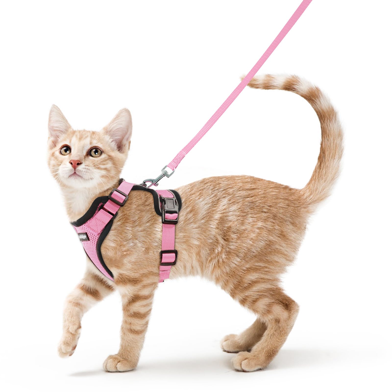 Rabbitgoo Adjustable Cat Harness and Leash Set