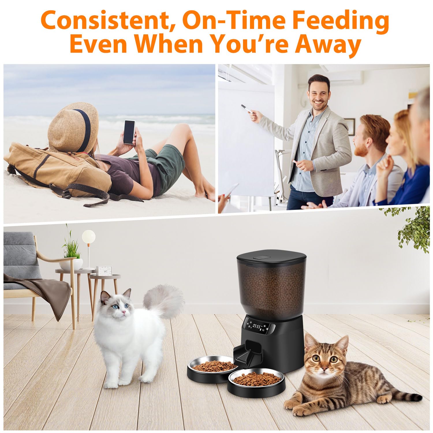 Automatic Cat Feeders for Two Cats
