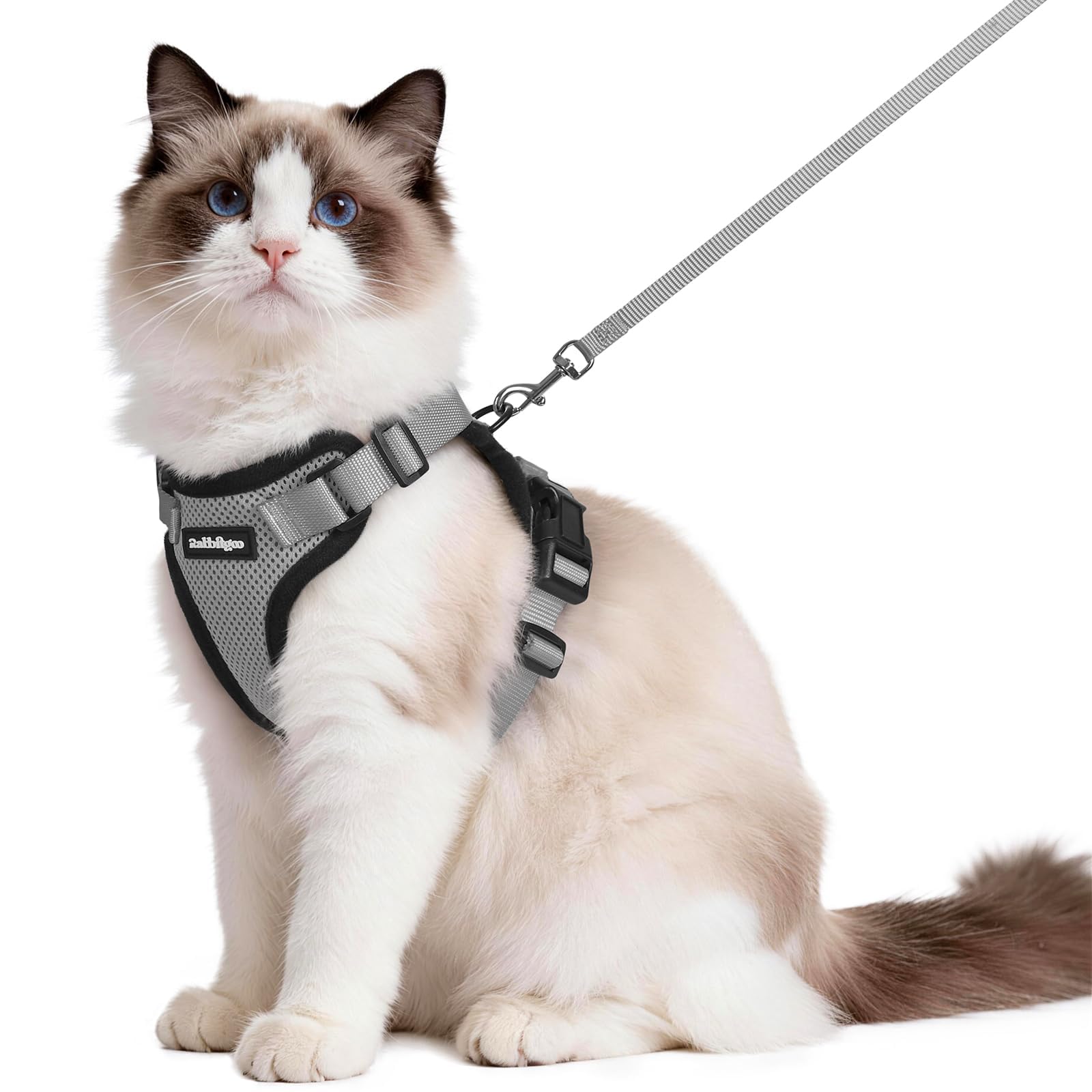 Rabbitgoo Adjustable Cat Harness and Leash Set