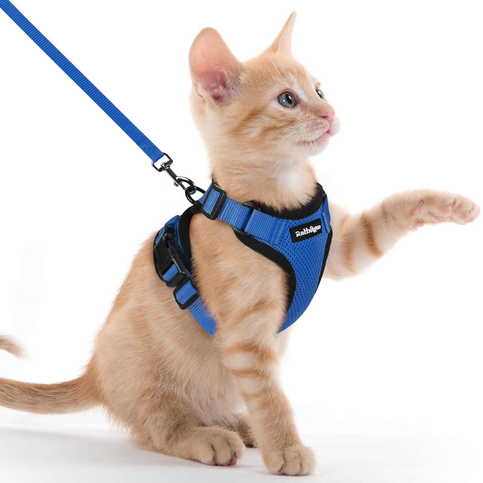 Rabbitgoo Adjustable Cat Harness and Leash Set