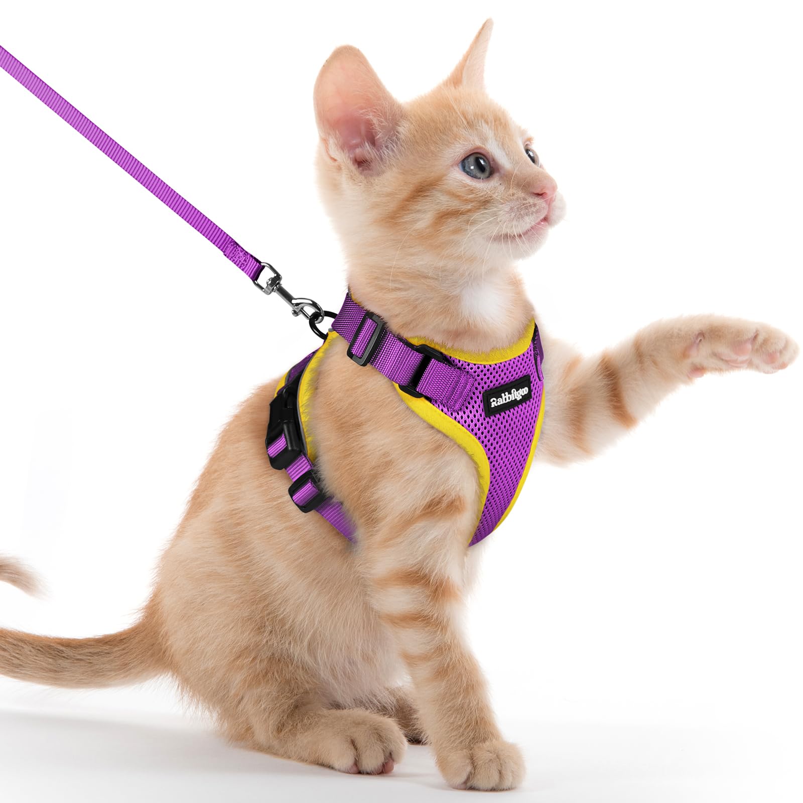 Rabbitgoo Adjustable Cat Harness and Leash Set