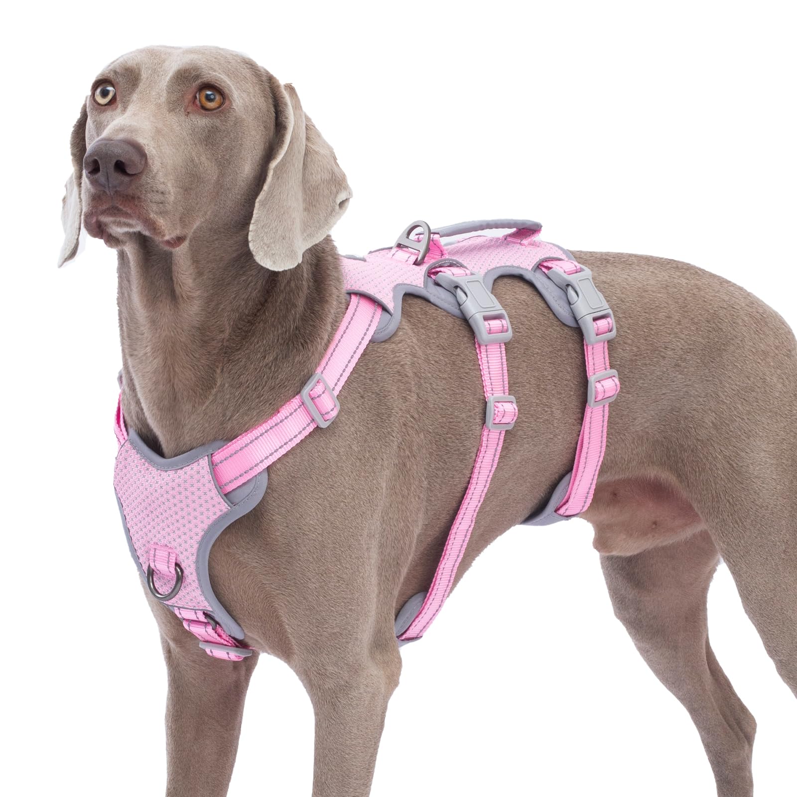 Huntboo Escape-Proof Reflective Dog Harness with Handle