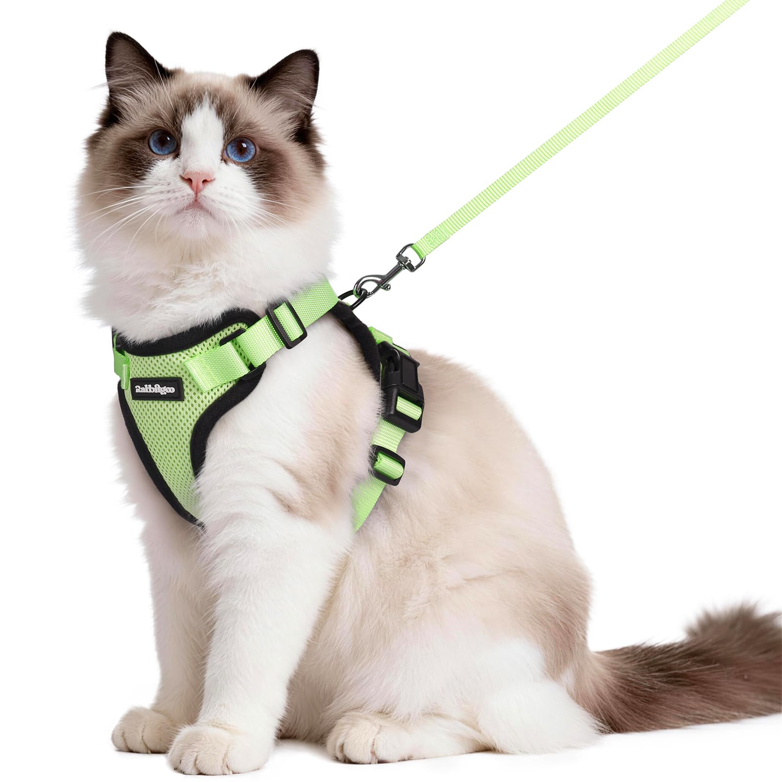 Rabbitgoo Adjustable Cat Harness and Leash Set