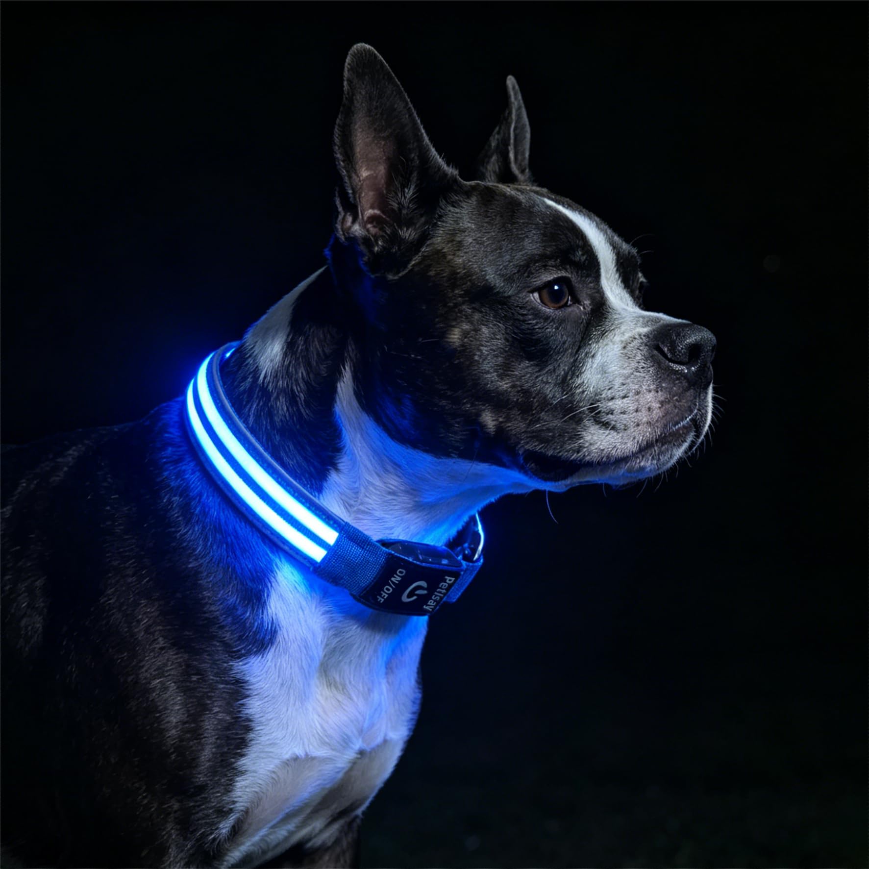 PetIsay Dog Light up Collar for Night Walking - High Visibility LED Dog Collar - Rechargeable - Waterproof - Reflective - Adjustable Lighted Glow Collars