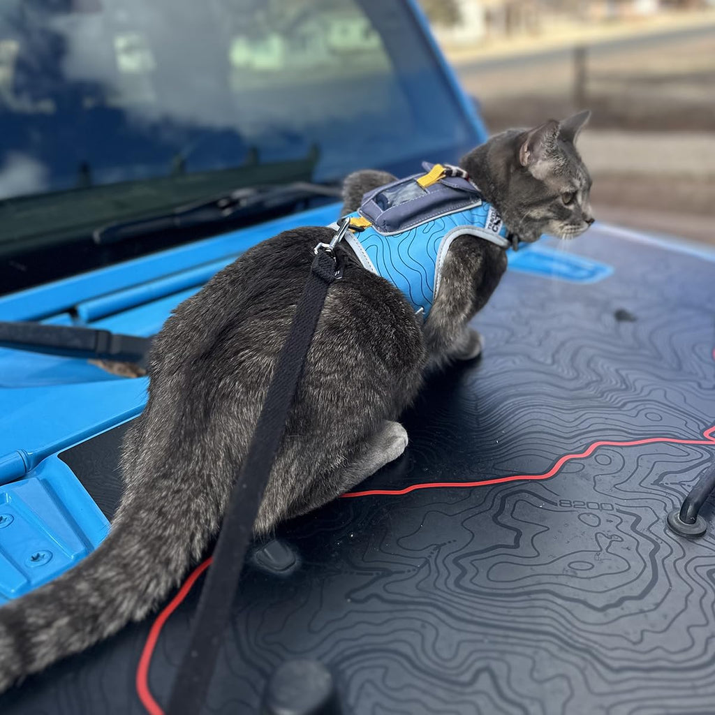 Travel Cat Pathfinder Escape-Proof GPS Tracker Harness