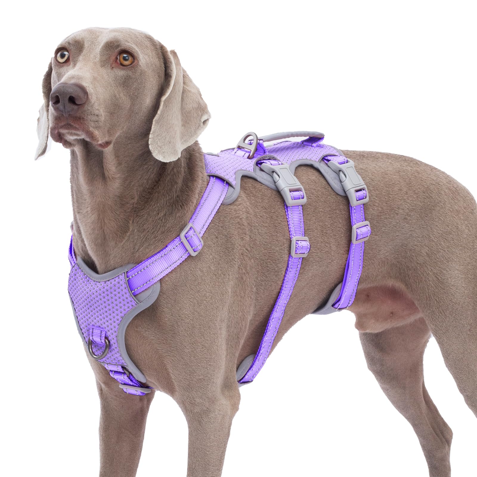 Huntboo Escape-Proof Reflective Dog Harness with Handle