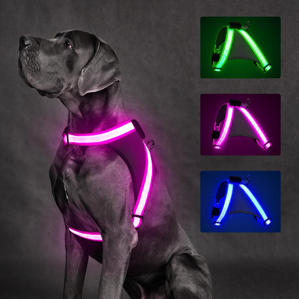 ChalkLit Light Up Dog Harness