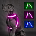ChalkLit Light Up Dog Harness