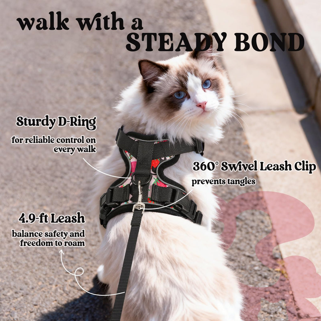 Rabbitgoo Adjustable Cat Harness and Leash Set