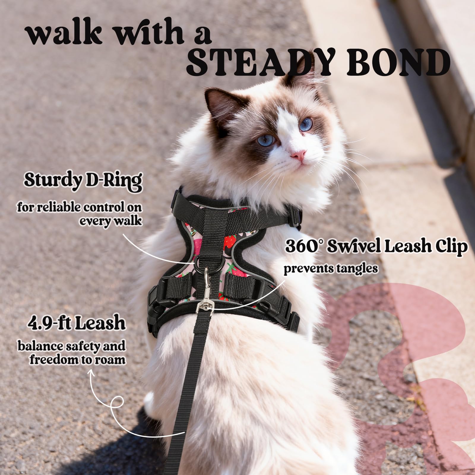Rabbitgoo Adjustable Cat Harness and Leash Set