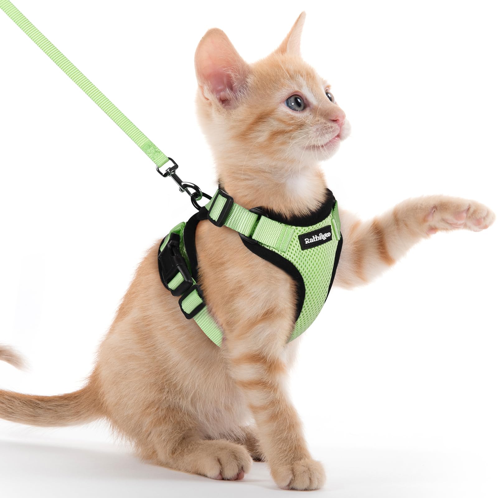 Rabbitgoo Adjustable Cat Harness and Leash Set