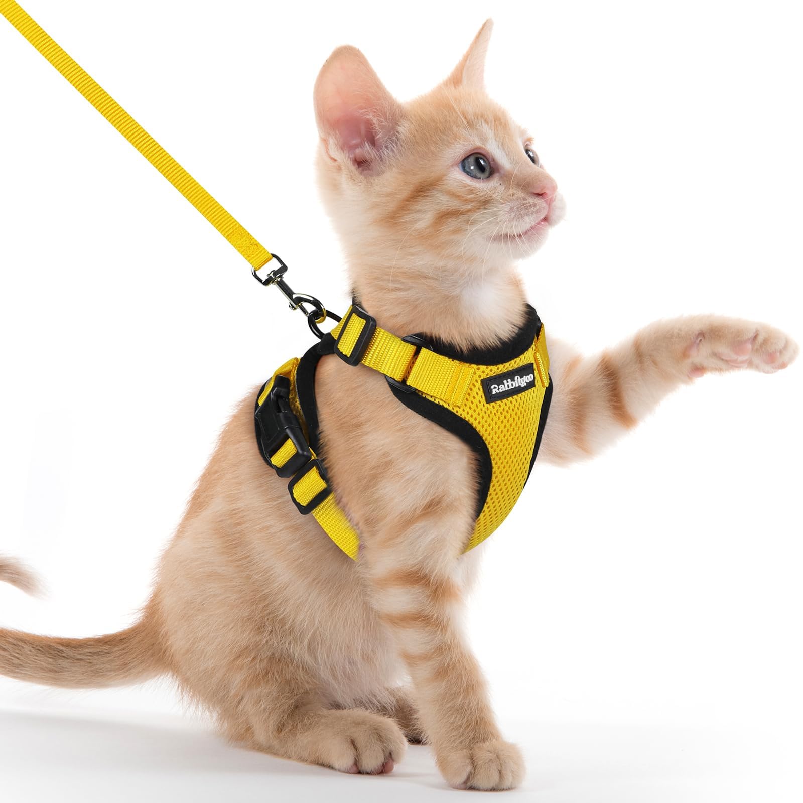 Rabbitgoo Adjustable Cat Harness and Leash Set