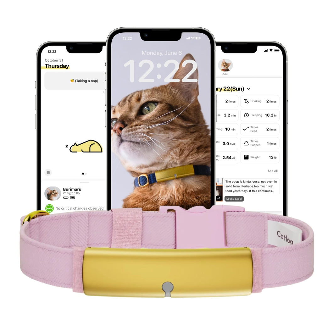 Catlog Replacement Collar Belt for Pet Activity Tracker