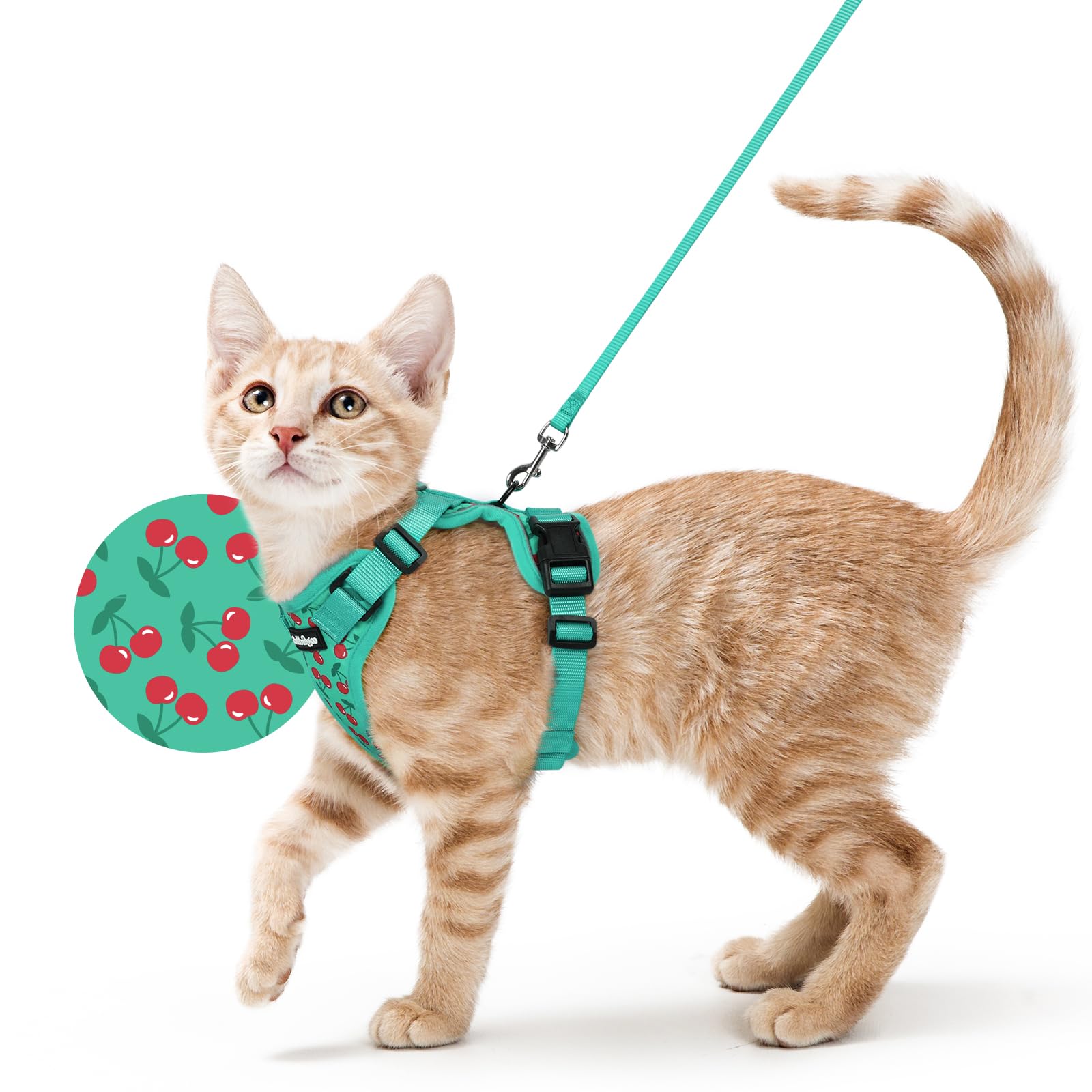 Rabbitgoo Adjustable Cat Harness and Leash Set