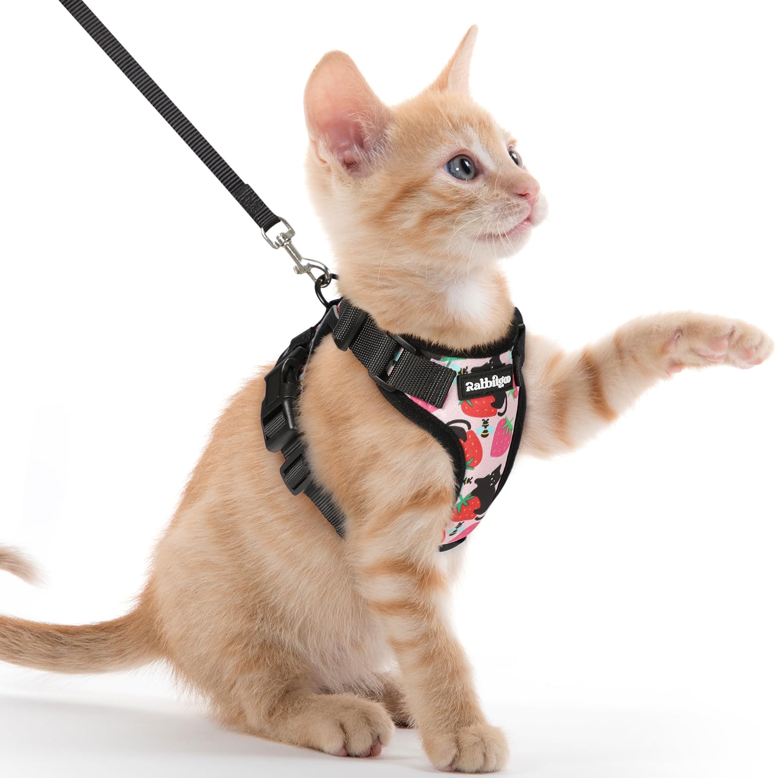 Rabbitgoo Adjustable Cat Harness and Leash Set
