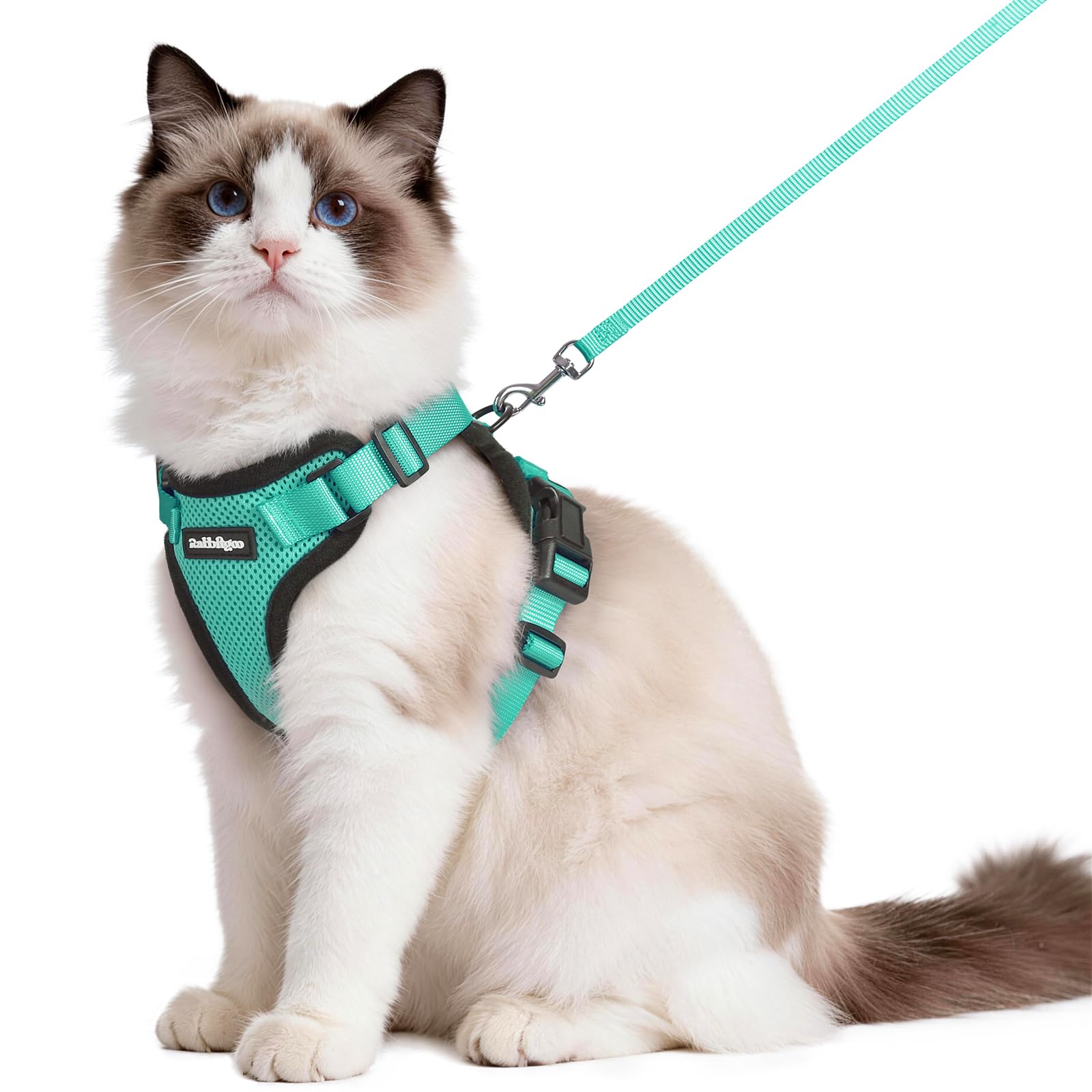Rabbitgoo Adjustable Cat Harness and Leash Set