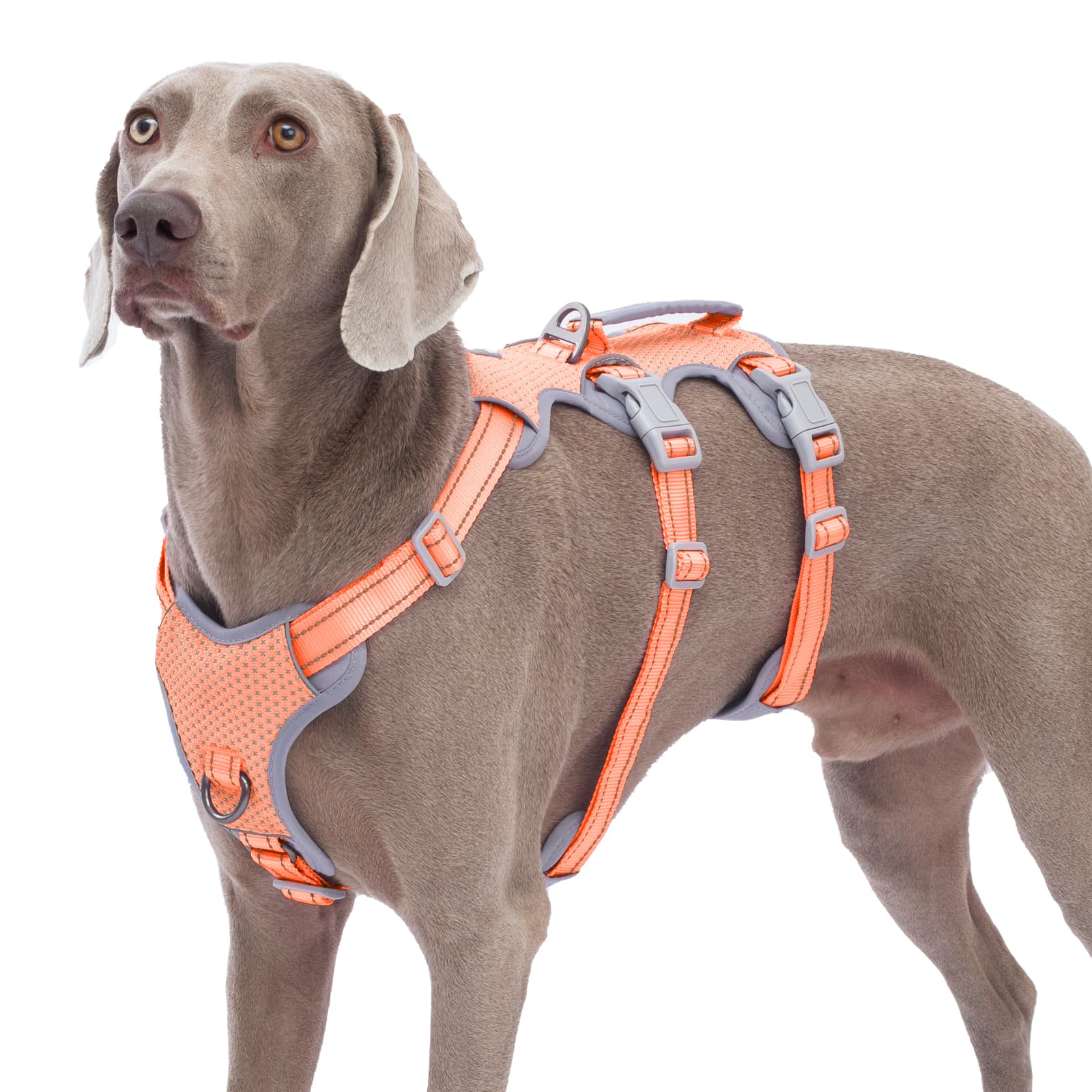 Huntboo Escape-Proof Reflective Dog Harness with Handle