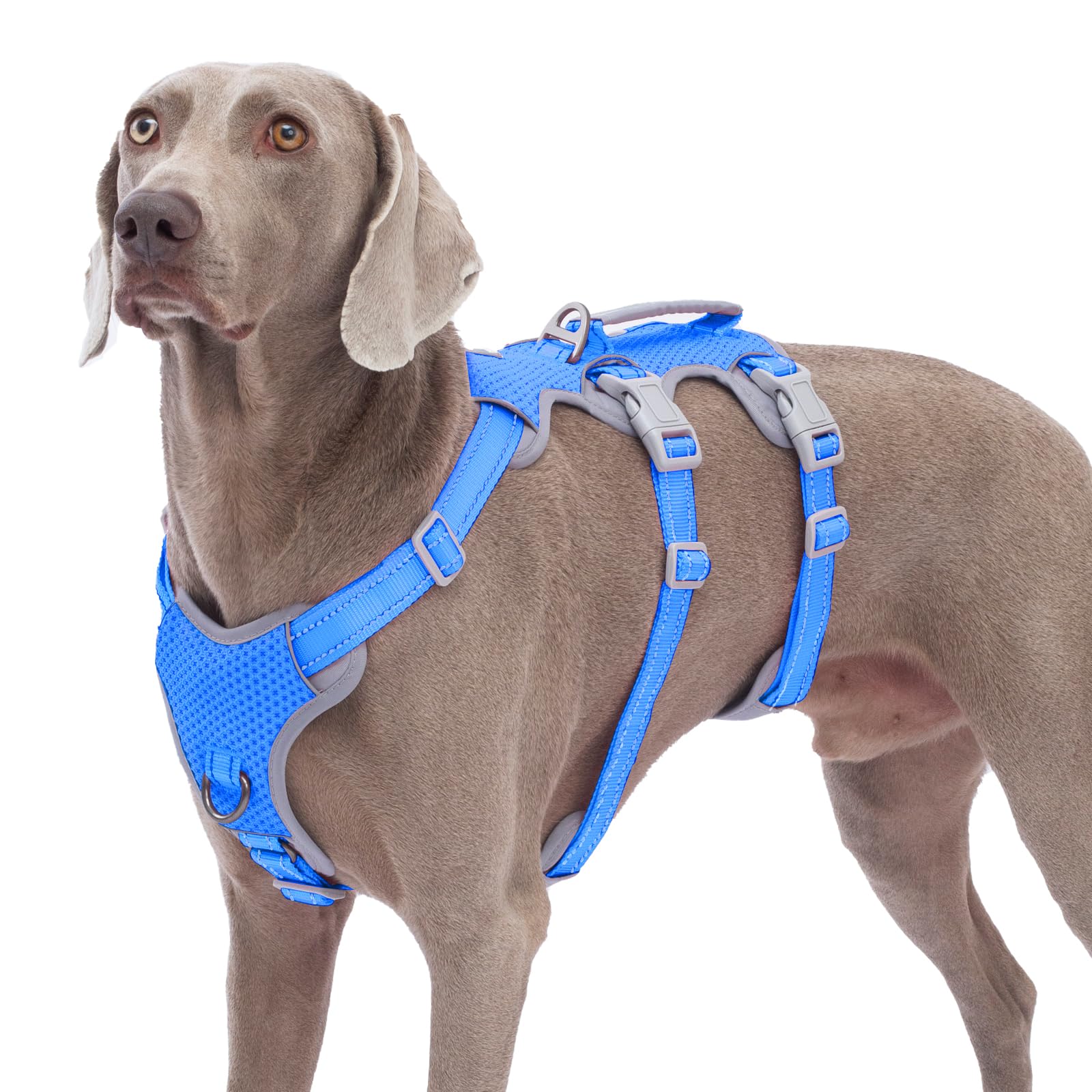 Huntboo Escape-Proof Reflective Dog Harness with Handle