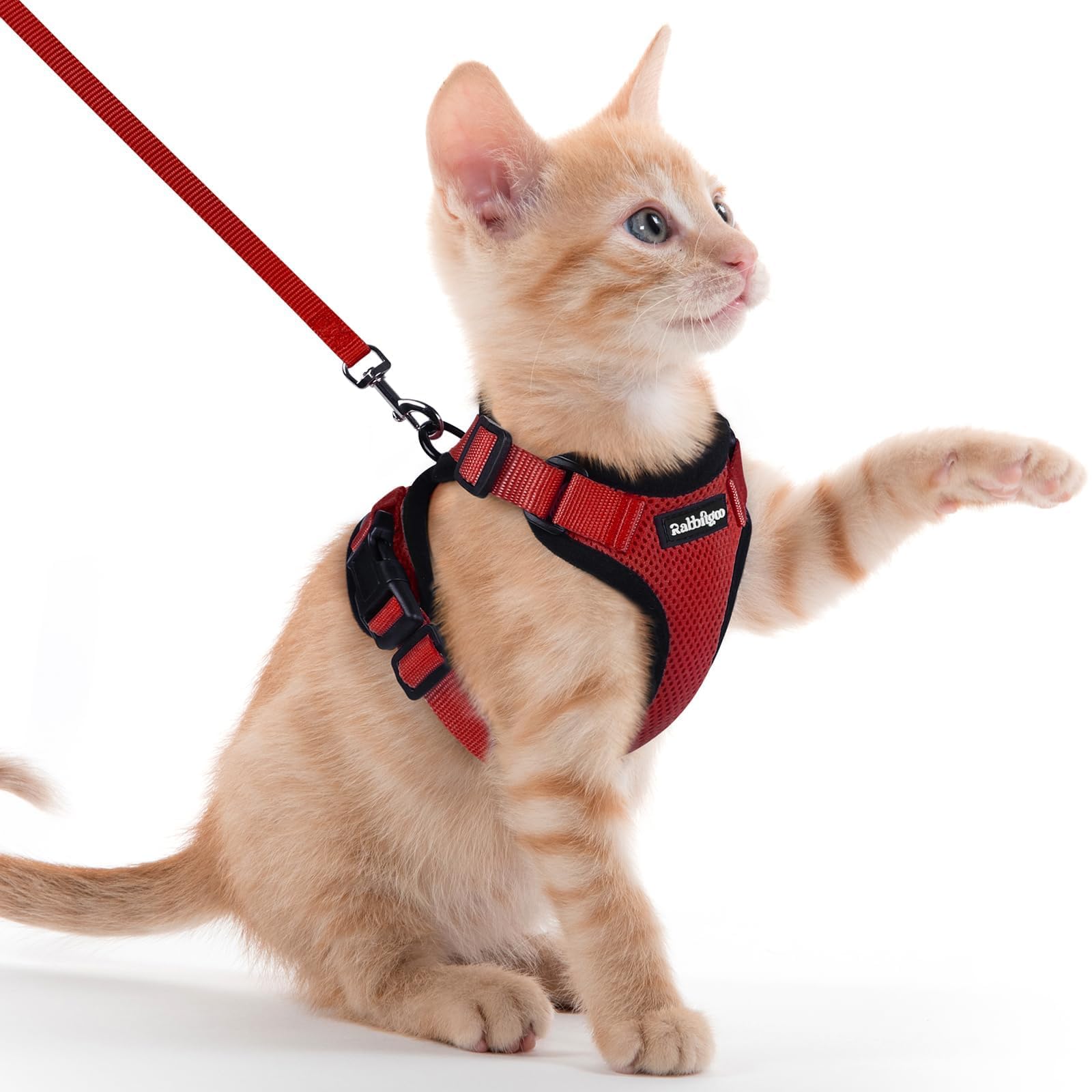 Rabbitgoo Adjustable Cat Harness and Leash Set