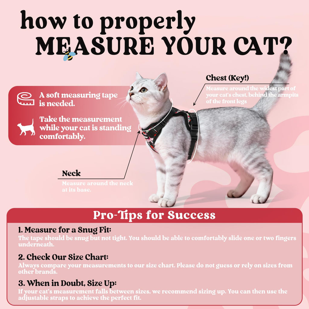 Rabbitgoo Adjustable Cat Harness and Leash Set