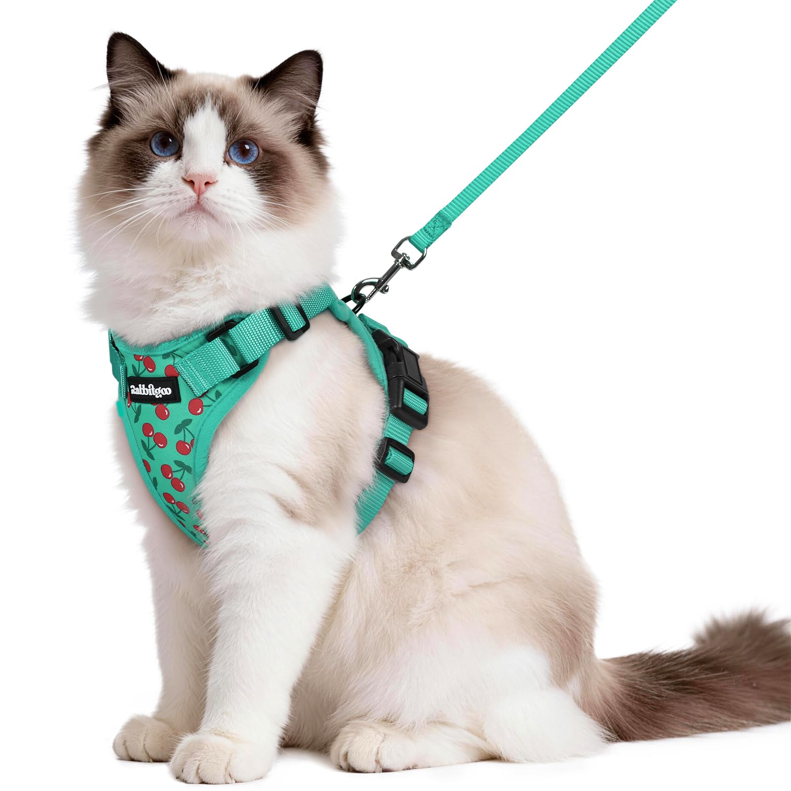 Rabbitgoo Adjustable Cat Harness and Leash Set