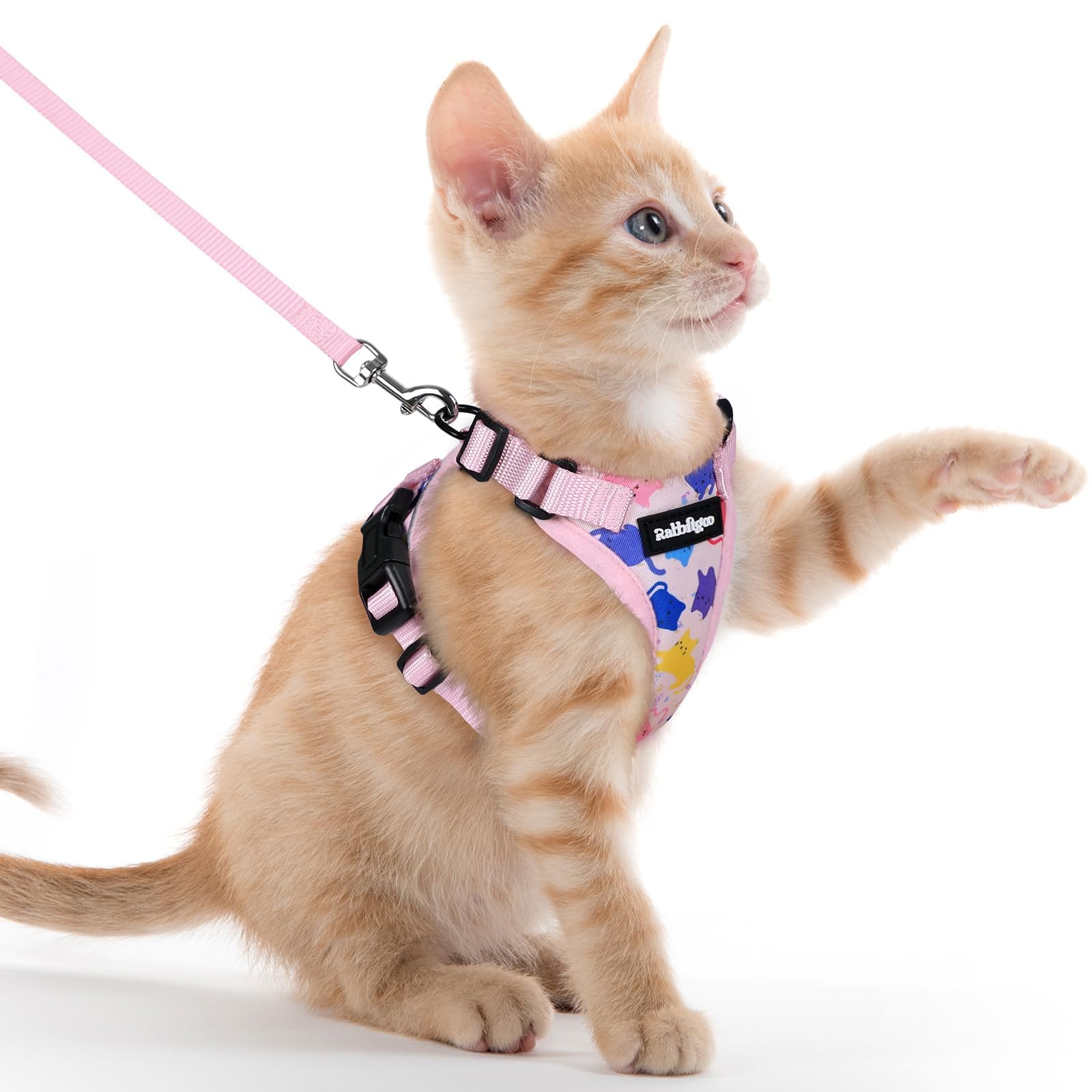 Rabbitgoo Adjustable Cat Harness and Leash Set