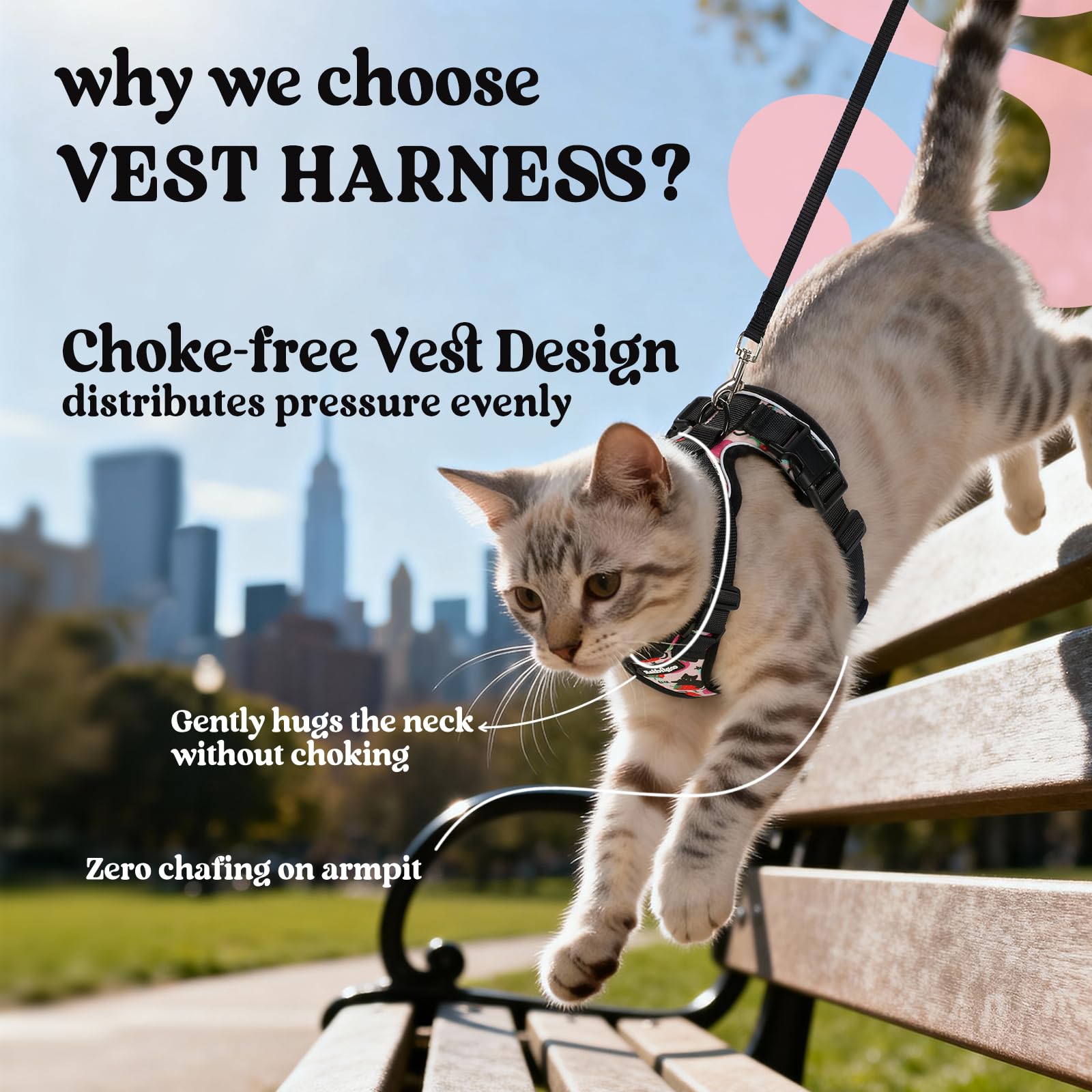 Rabbitgoo Adjustable Cat Harness and Leash Set