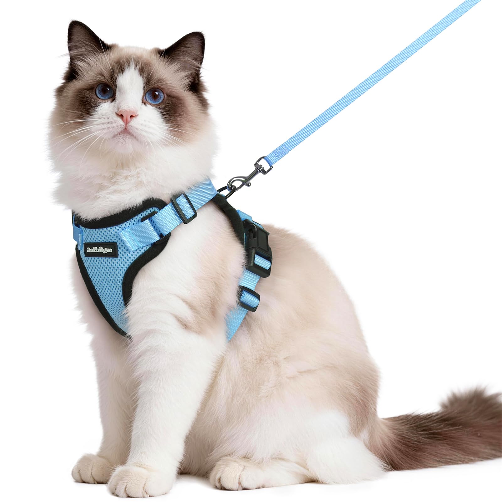 Rabbitgoo Adjustable Cat Harness and Leash Set