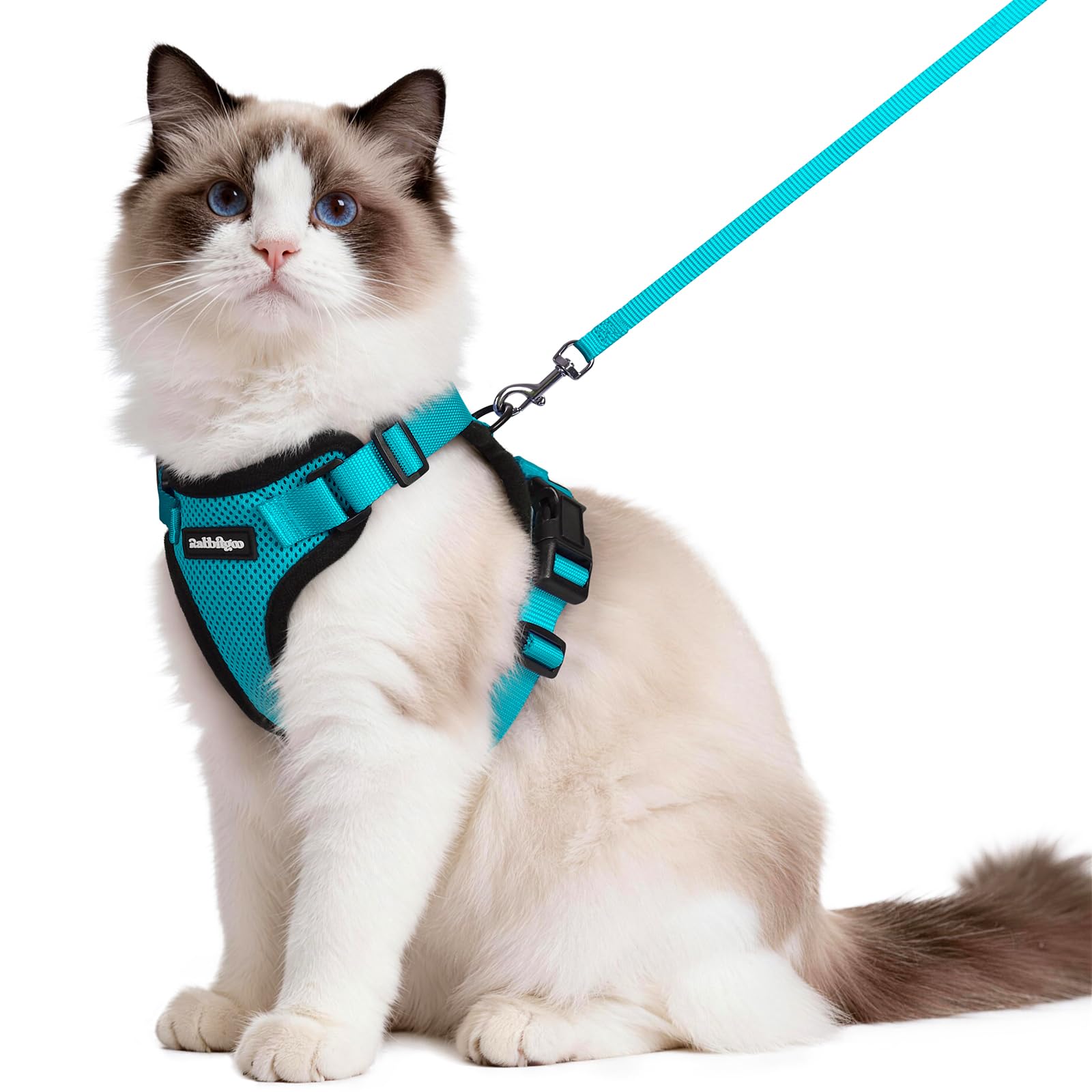Rabbitgoo Adjustable Cat Harness and Leash Set
