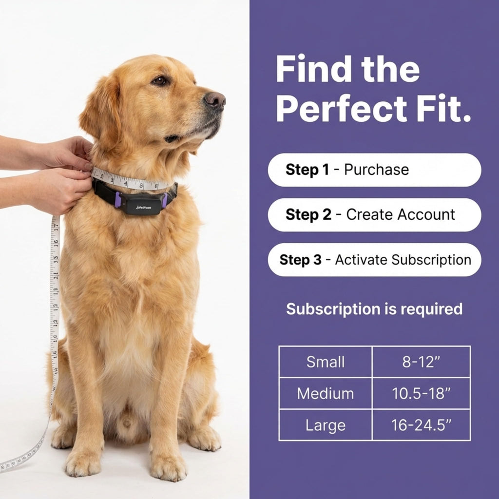 AI Smart Dog Health Collar – 24/7 Vital Signs Monitor, GPS Tracking, Heart Rate, Pain Detection, Telehealth Vet Access, Smart Watch Sync | PetPace V3.0 - Subscription Required