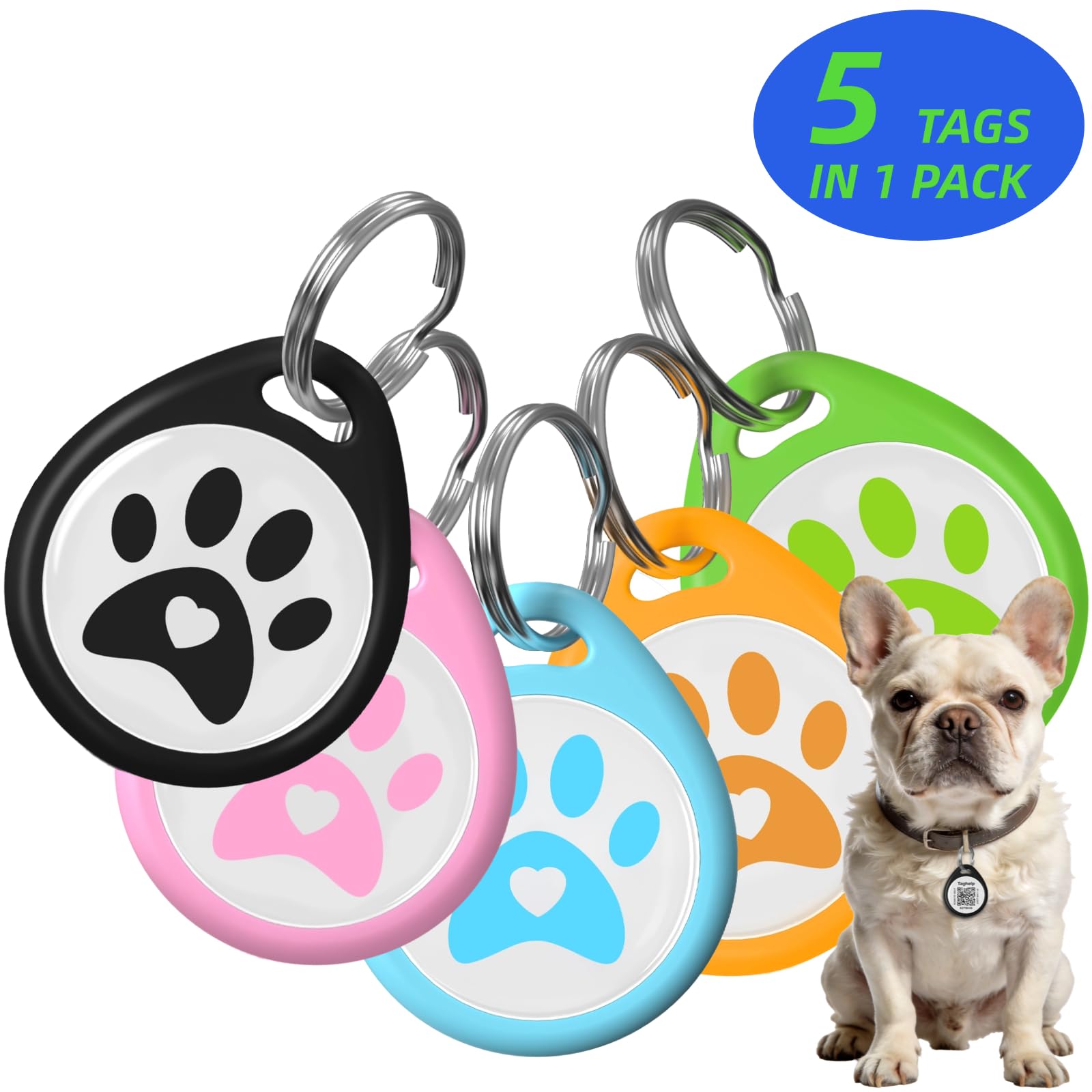 Pet ID Tags