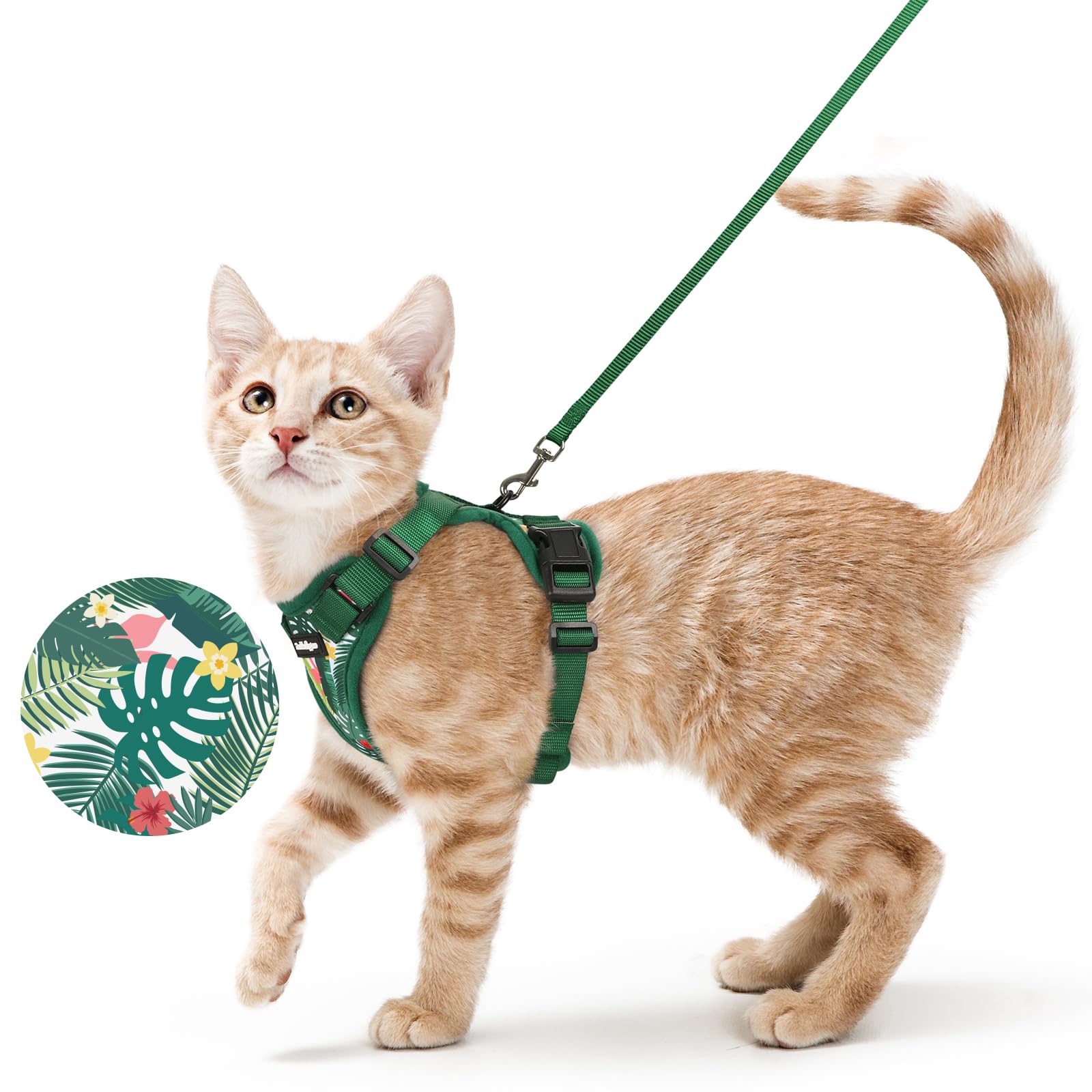 Rabbitgoo Adjustable Cat Harness and Leash Set