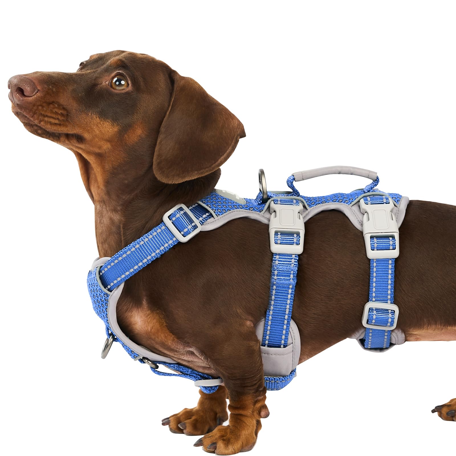 Huntboo Escape-Proof Reflective Dog Harness with Handle