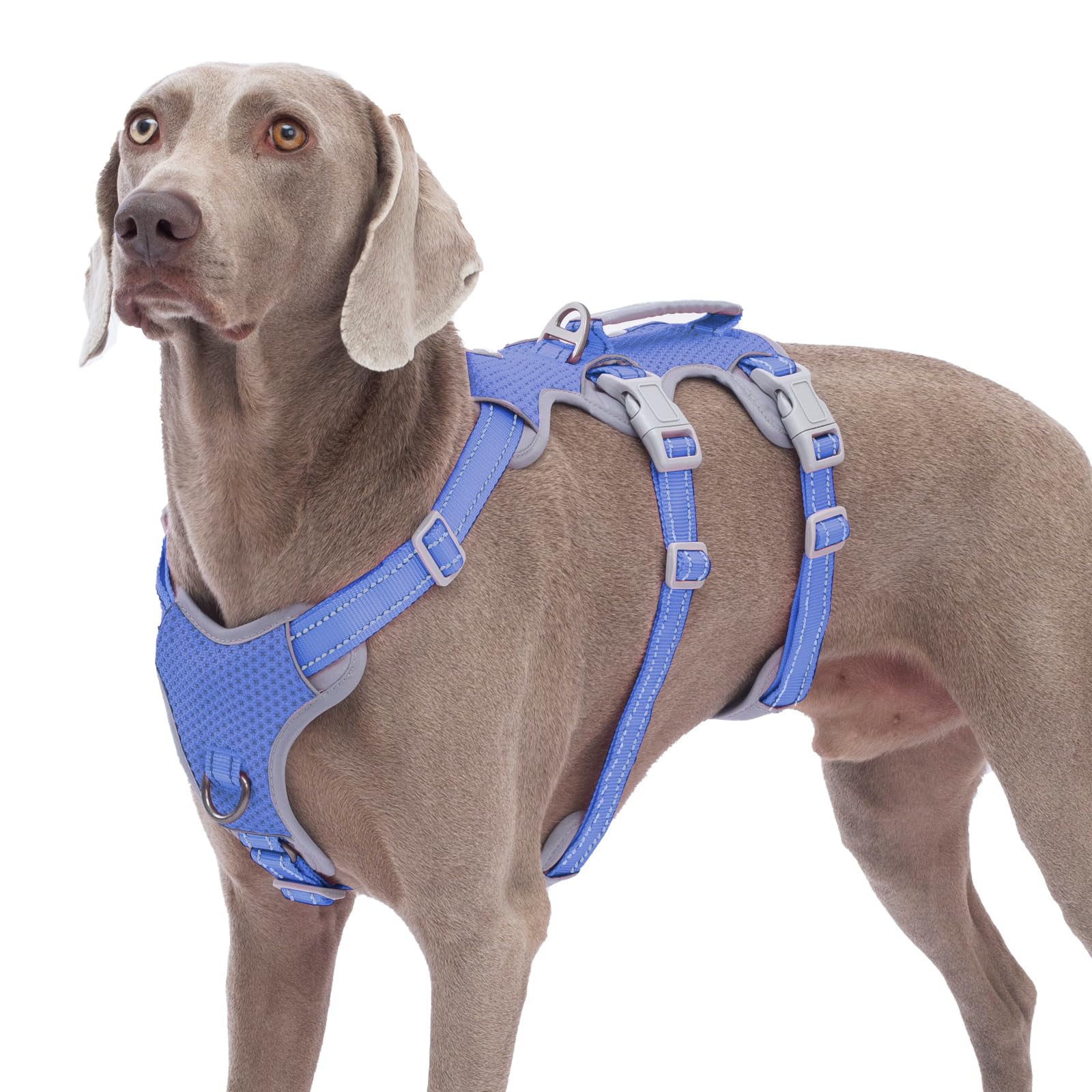 Huntboo Escape-Proof Reflective Dog Harness with Handle