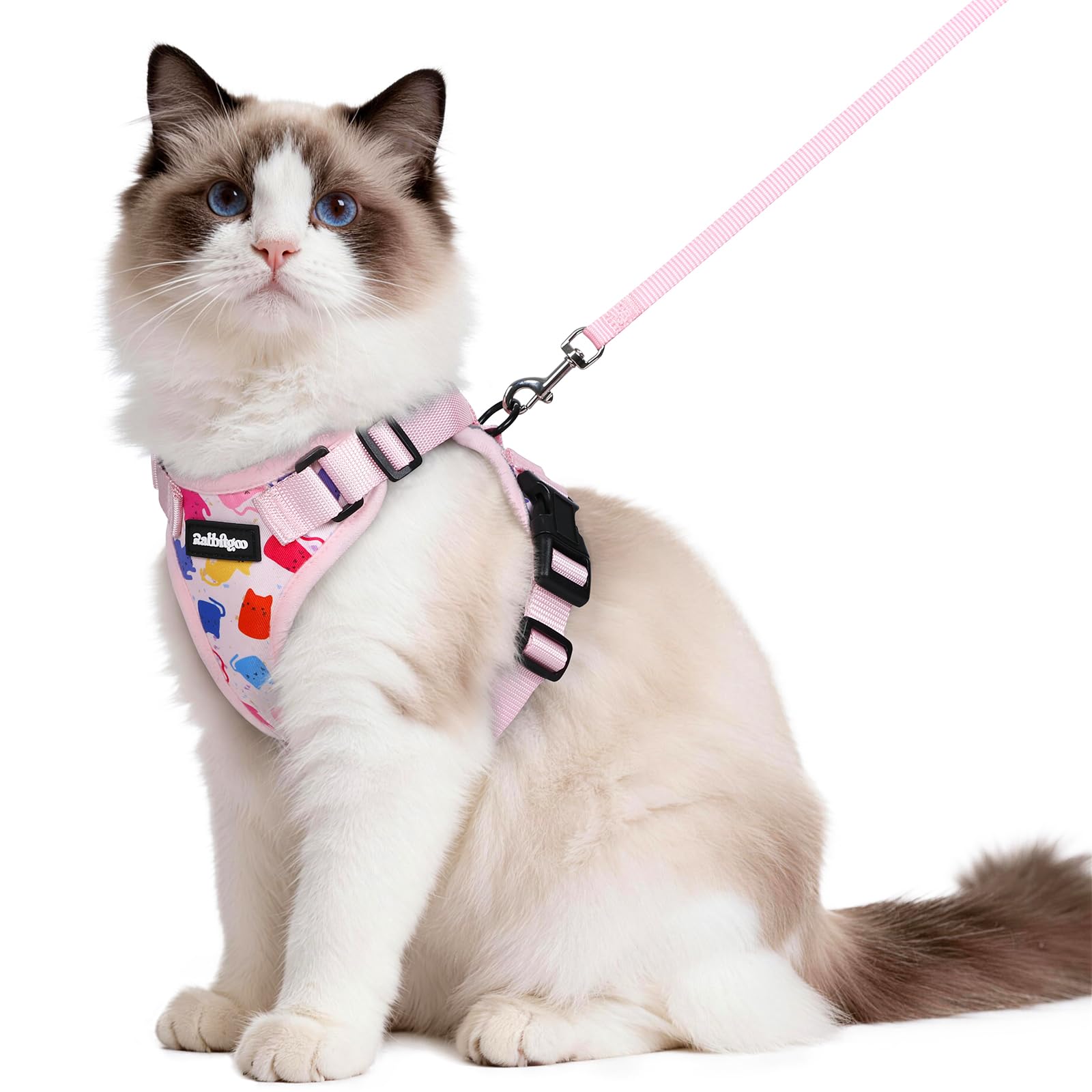 Rabbitgoo Adjustable Cat Harness and Leash Set