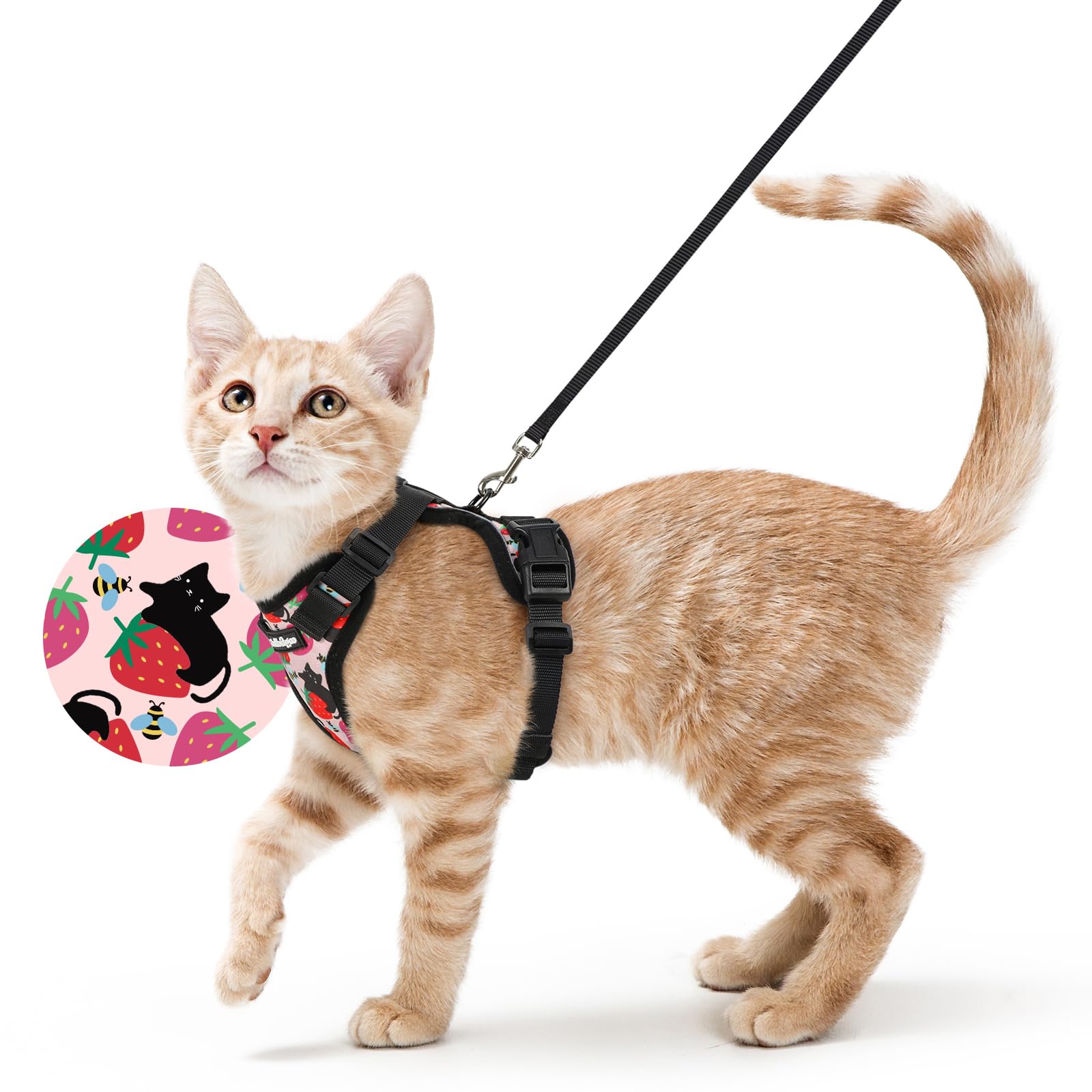 Rabbitgoo Adjustable Cat Harness and Leash Set
