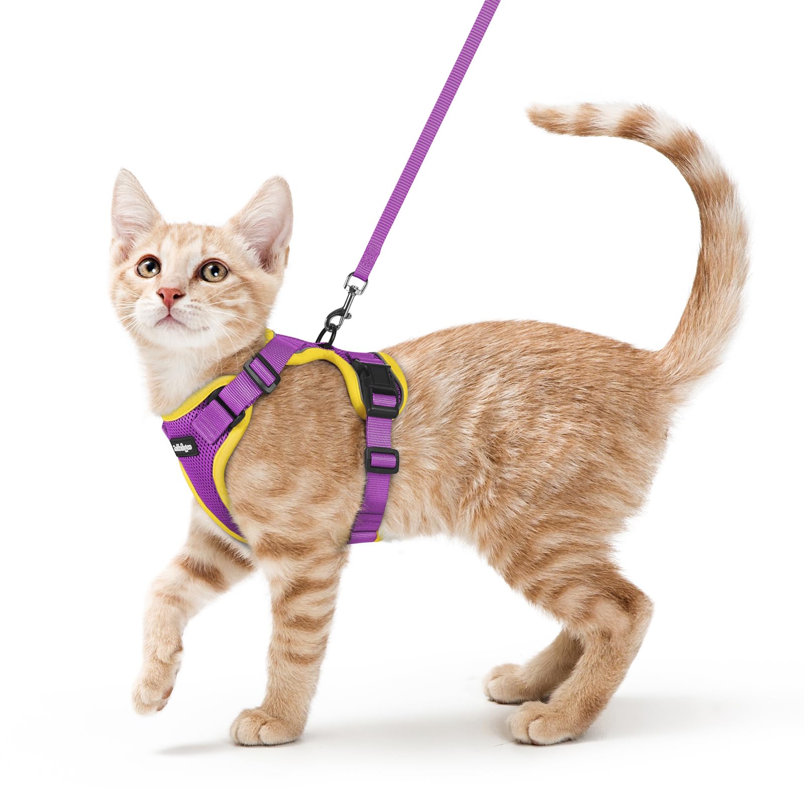 Rabbitgoo Adjustable Cat Harness and Leash Set