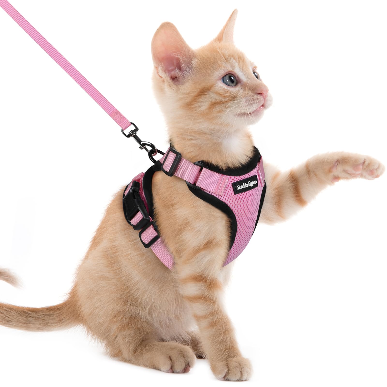Rabbitgoo Adjustable Cat Harness and Leash Set
