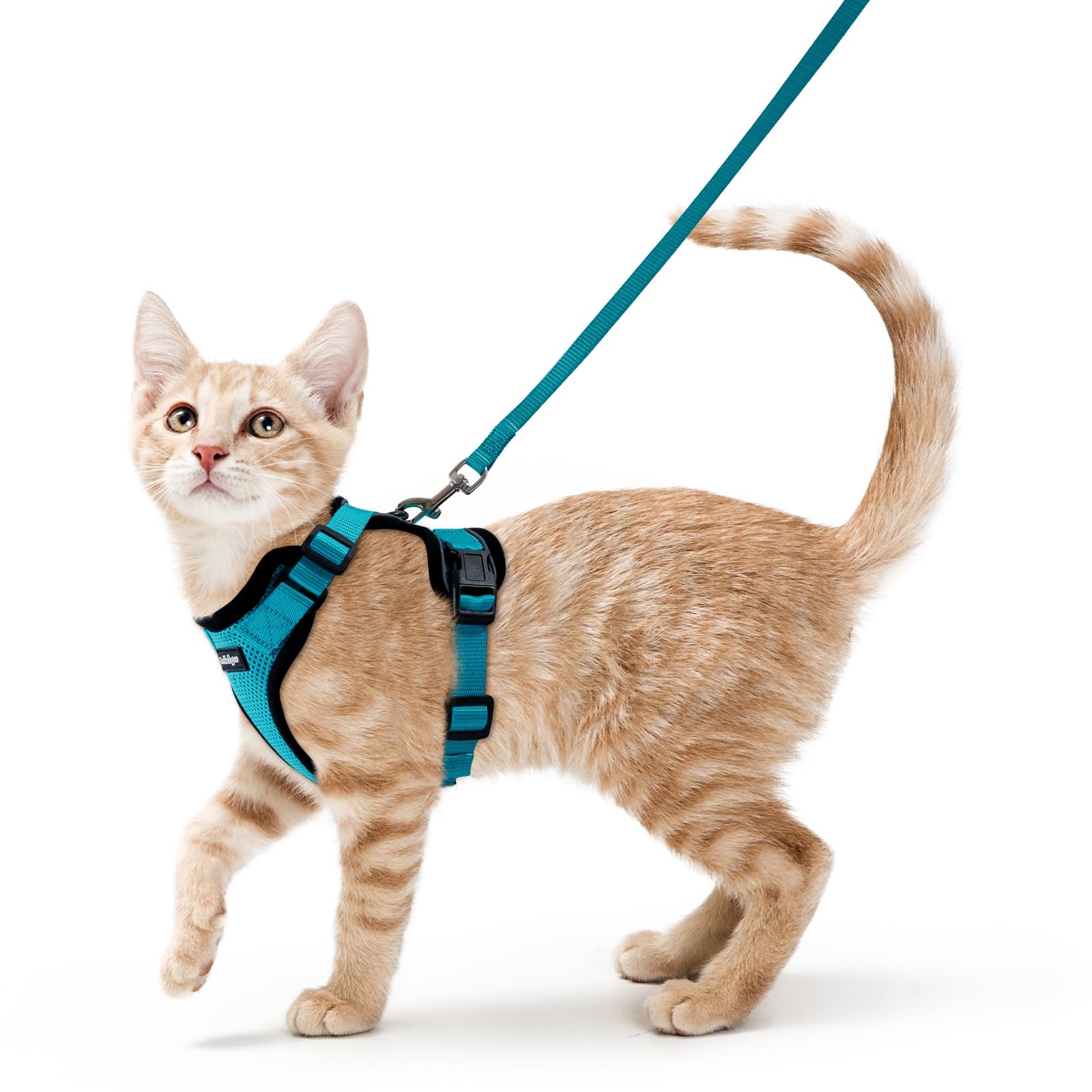 Rabbitgoo Adjustable Cat Harness and Leash Set